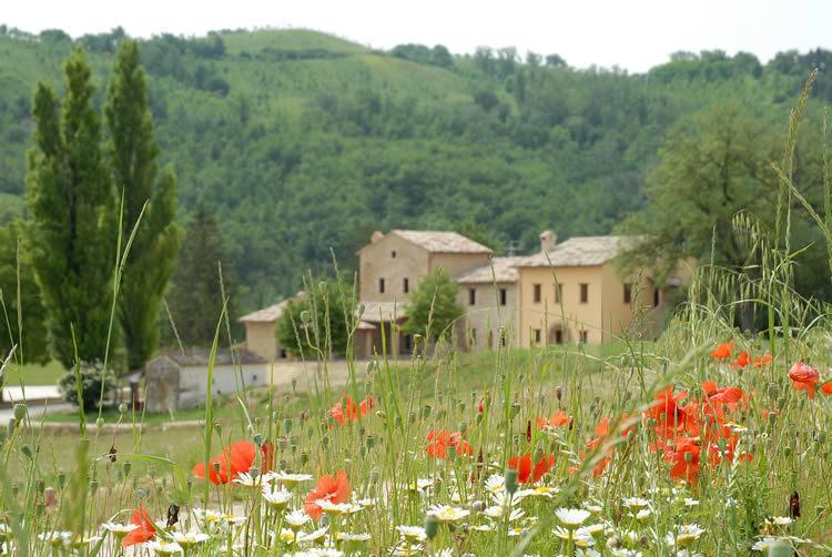 Agriturismo Verziere Villa Fermignano Exterior photo